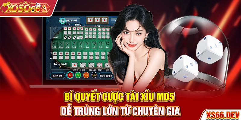 Bí quyết cược Tài Xỉu MD5 dễ trúng lớn từ chuyên gia