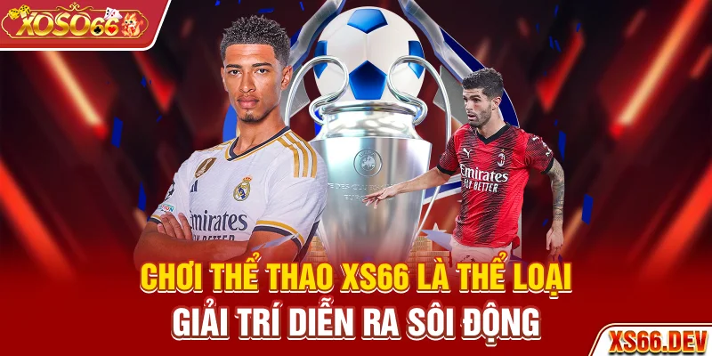 Chơi thể thao XS66 là thể loại giải trí diễn ra sôi động