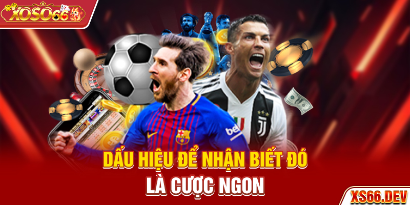 Dấu hiệu để nhận biết đó là cược ngon